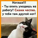 ���� N &hearts; L, ������ - ��������� 4 ����� 2026 � ������ ������ ��������