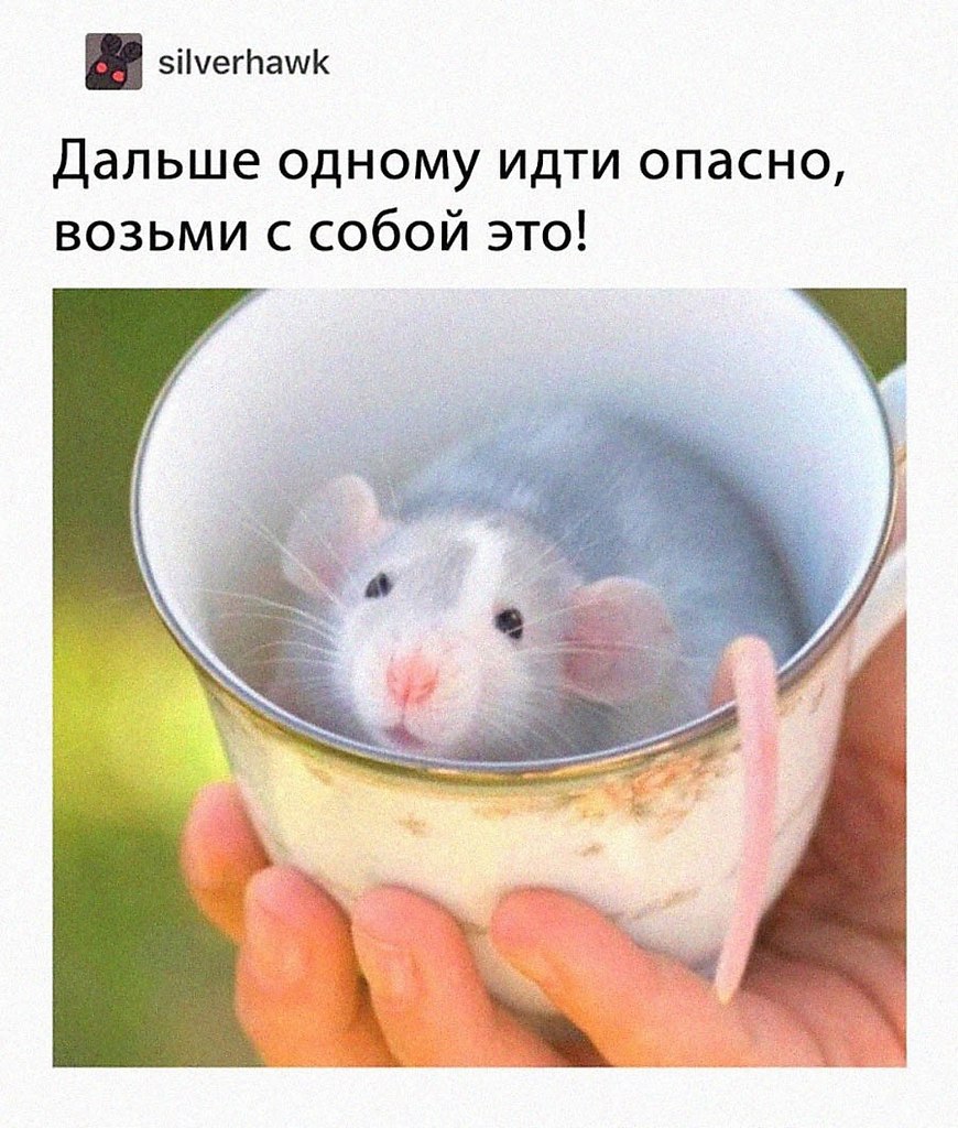      !