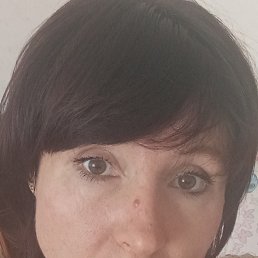 , 44, 
