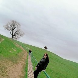 , 36, 