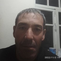 , , 41 