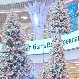 �������, �����, 28 ���