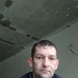 �����, 40 ���, ���������