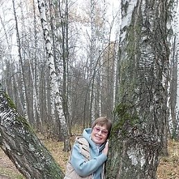 �����, ���������