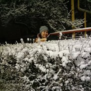 �������, 44 ����, �������