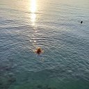 ���� Ana, ����������� - ��������� 11 ���� 2024 � ������ ���� ����������