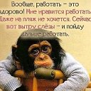 ���� �����, ����������, 48 ��� - ��������� 23 ������ 2024