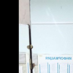 ��������, �����������, 49 ���