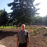 ����, 45 ���, ���������