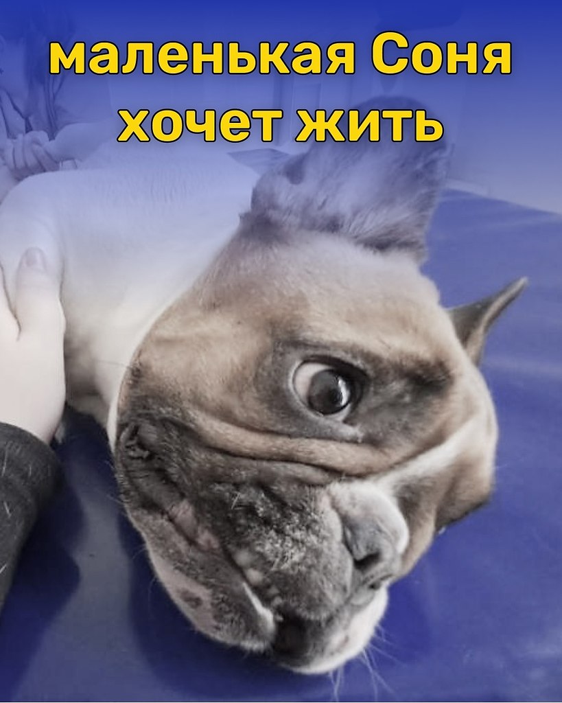             !  ,  ...