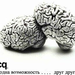 ���� ����, �������, 45 ��� - ��������� 22 ������� 2024