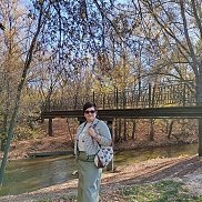 , 55 , 
