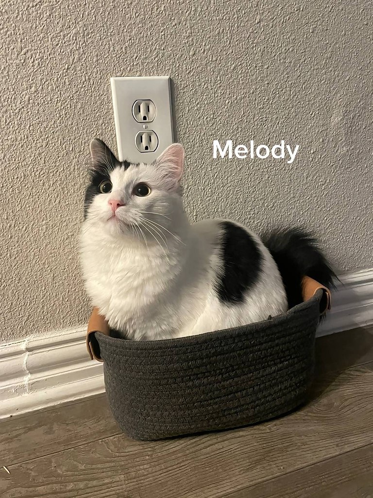     - 7