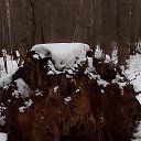 ��� ���-�� ���� �� ������� ���� ����������