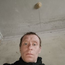 ������, 37 ���, ������