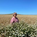 ���� �����, ������ - ��������� 24 ����� 2026