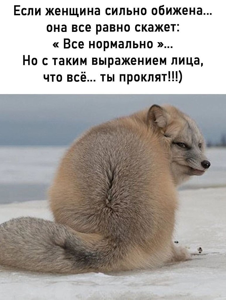 Человеку плевать на меня. Статусы про обиженных женщин. Сейчас мужчины обижаются. Нельзя обижать женщину. Высказывания обиженной женщины мужчине.