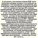 ���� Evi, ������ - ��������� 25 ��� 2024 � ������ ���� ����������