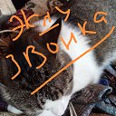 ���� ������, ���������, 50 ��� - ��������� 8 ������ 2026