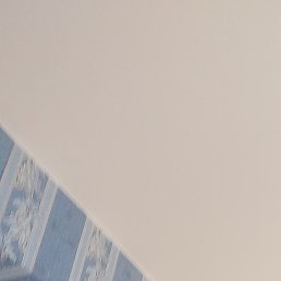 , , 49 