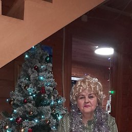 ���� ���������, ���, 71 ��� - ��������� 11 ������ 2024