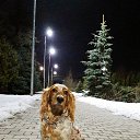 ���� **��������**, ������� - ��������� 13 ������ 2025 � ������ ������ ��������