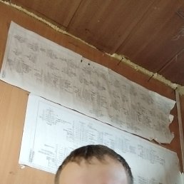 , 42, 
