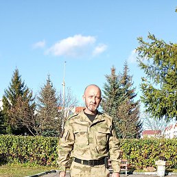 �����, ������, 46 ���