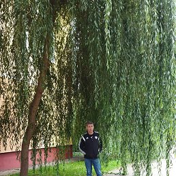 ���, �������, 58 ���