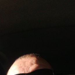 ������, �������, 46 ���