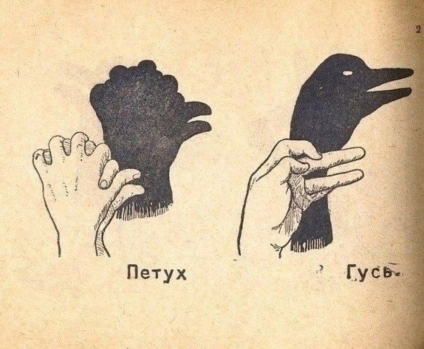 -    ,          ... - 2