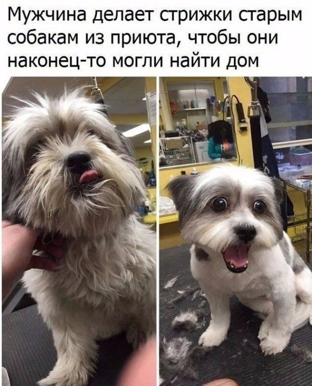      !