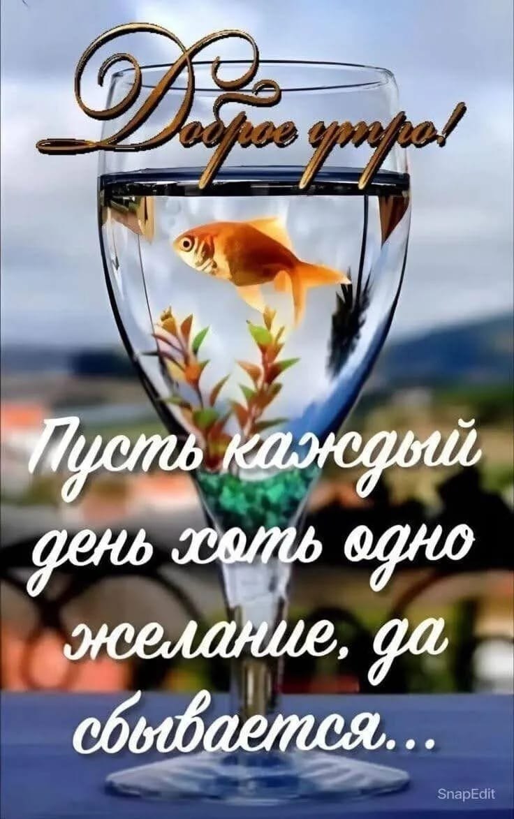 ***Victoria Viktorovna*** - 20  2025  04:17