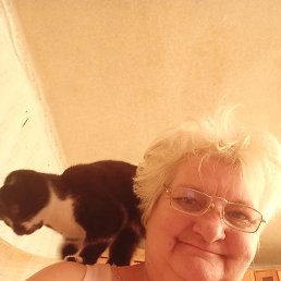 , 52, 