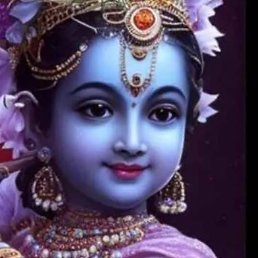 Sanjay Jinger, �����������, 88 ���