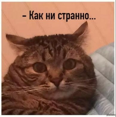 ��� ���� � ����� �� �� - 2 ���� 2026 � 11:02 - 4