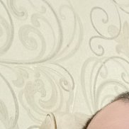 , 50 , 