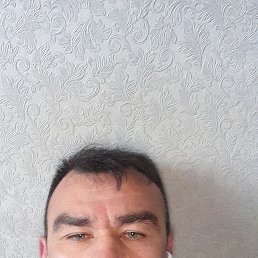 , 43 , -