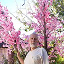 ���� ������ �������, �����������, 69 ��� - ��������� 9 ������ 2026