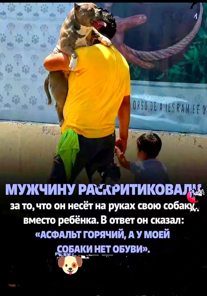 �������� ������ - 11 ���� 2026 � 01:21