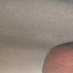 �����, �����������, 55 ���