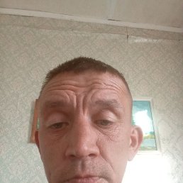 , 41 , 