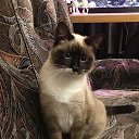 ���� ����, �����-���������, 51 ��� - ��������� 19 ������� 2025 � ������ ���� ����������