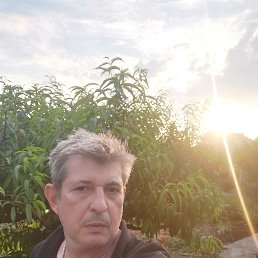, 55, 
