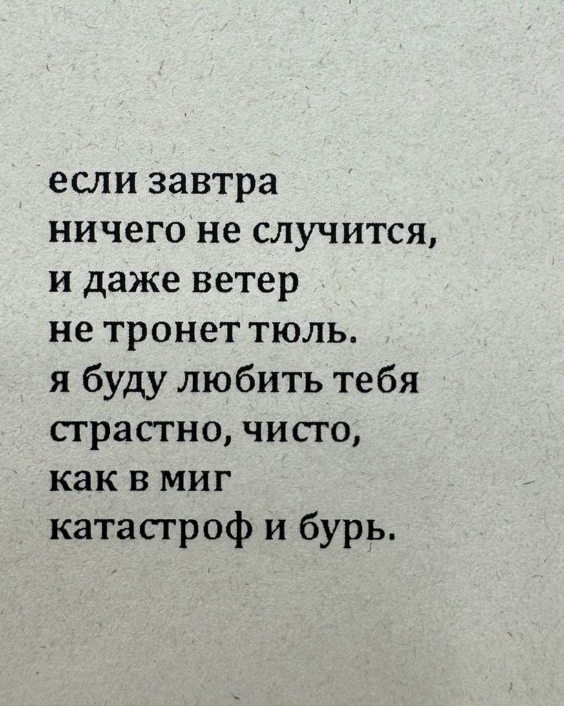 Кулинарное искусство - 10 октября 2025 в 15:44 - 5