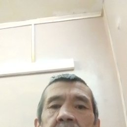 , 53 , 