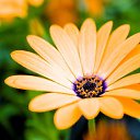 ���� �����, ������, 47 ��� - ��������� 25 ������ 2025 � ������ ���� ����������