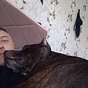 ���� ���������, ������, 41 ��� - ��������� 7 ������ 2026 � ������ ���� ����������