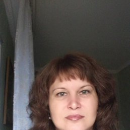 ���� �������, �����, 50 ��� - ��������� 11 ������ 2026