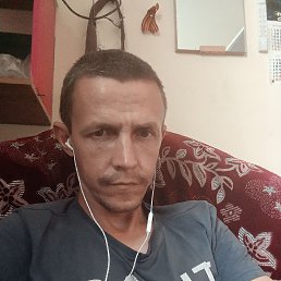 , 36 , 